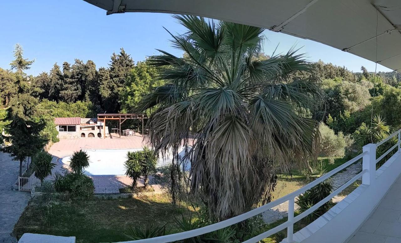 Artemis Studios - Pool And Garden Koskinou  外观 照片